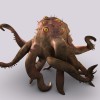 Octo2