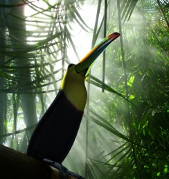 Toucan2